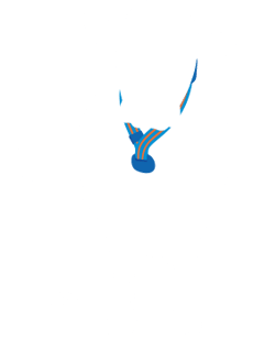 win-100-collars